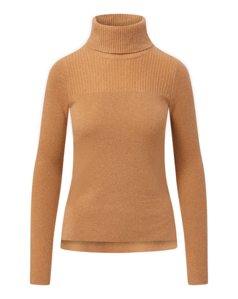 Jurnee Cashmere Turtleneck