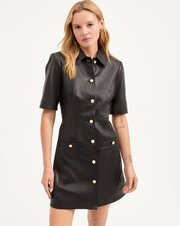 Paige Leather Dress