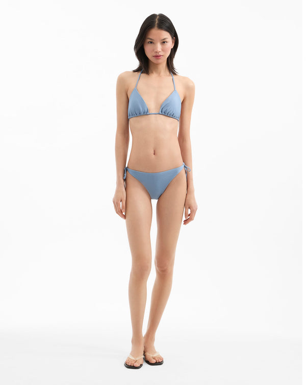 Gavitella Bikini Bottom