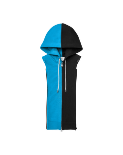 Carolina Panthers Hoodie Dickey