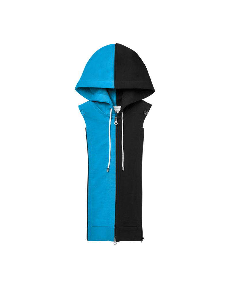 Carolina Panthers Hoodie Dickey
