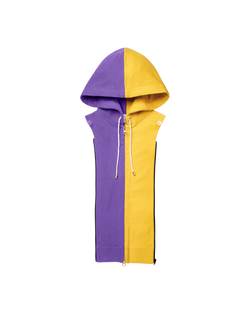 Minnesota Vikings Hoodie Dickey