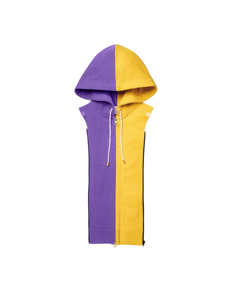 Minnesota Vikings Hoodie Dickey